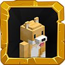 Doge